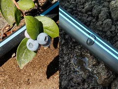 Csepegtető szalagok - Aqua-Traxx