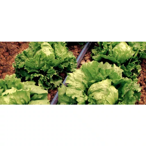 Aqua-Traxx csepegtető szalag 8mil (0,2mm) - 10cm-es osztással, 500m