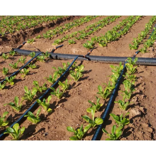 Aqua-Traxx csepegtető szalag 8mil (0,2mm) - 10cm-es osztással, 500m