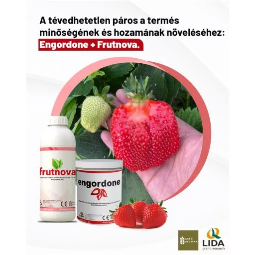 LIDA Engordone biostimulátor - 0,1kg