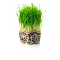LIDA Rental biostimulátor - 1 liter