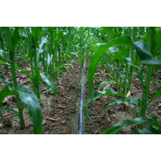 Neptune 22mm átmérőjű csepegtető szalag - 30 cm-es osztással 